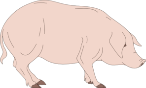 Standing Pig Clip Art